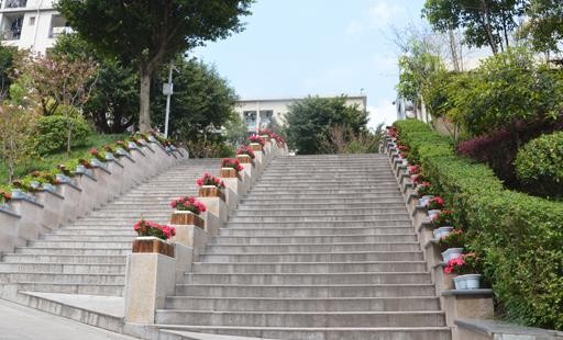 校园小径