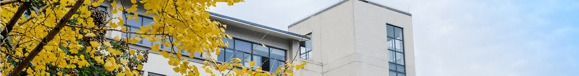 热门回答详情广告