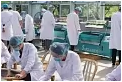 茶叶生产与加工