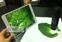 植物保护