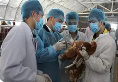 畜禽生产技术