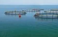 海水养殖