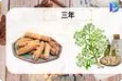 中药材生产与加工