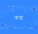 中文