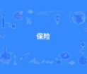 保险