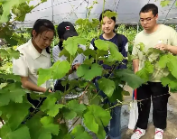 植物保护与检疫技术