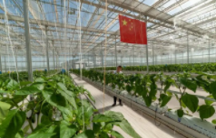 现代农业装备应用技术