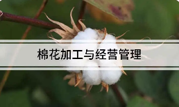 棉花加工与经营管理