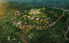 森林生态旅游与康养