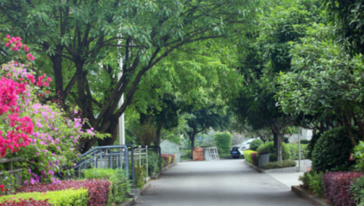 重庆市矿业工程学校