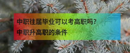 中职往届毕业可以考高职吗?中职升高职的条件