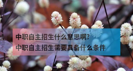 中职自主招生什么意思啊?中职自主招生需要具备什么条件