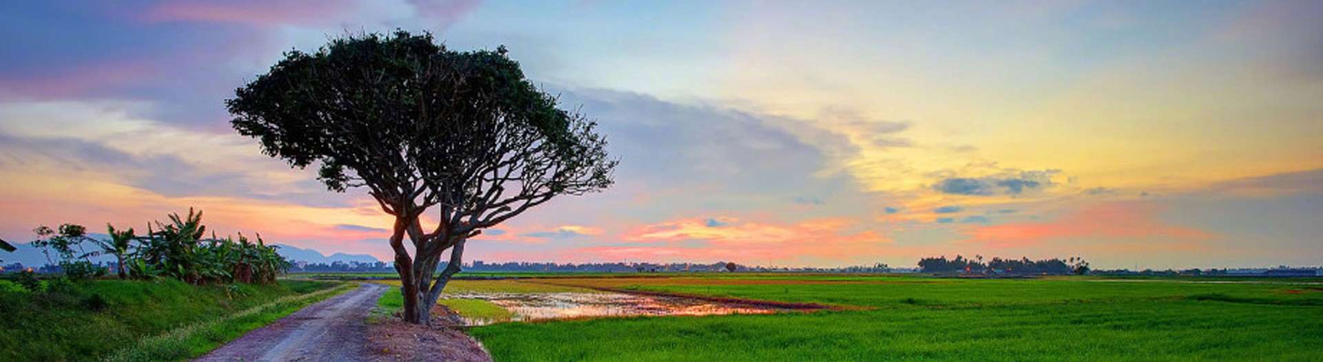 首页banner
