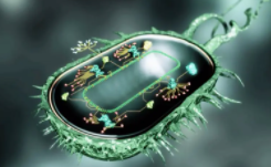 合成生物技术
