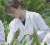 农业生物技术