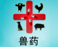 兽药制药技术