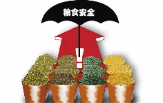 粮食储运与质量安全