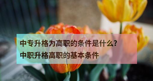 中专升格为高职的条件是什么?中职升格高职的基本条件