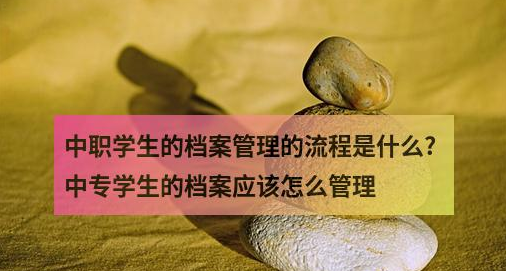 中职学生的档案管理的流程是什么?中专学生的档案应该怎么管理