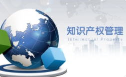 知识产权管理