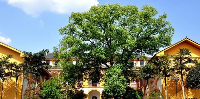 重庆工商学校
