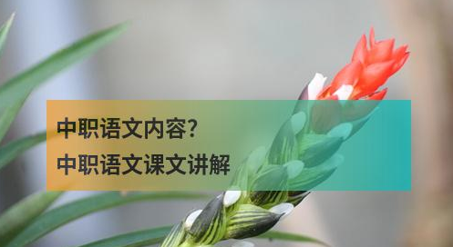 中职语文内容？中职语文课文讲解