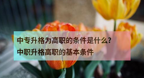 中专升格为高职的条件是什么?中职升格高职的基本条件