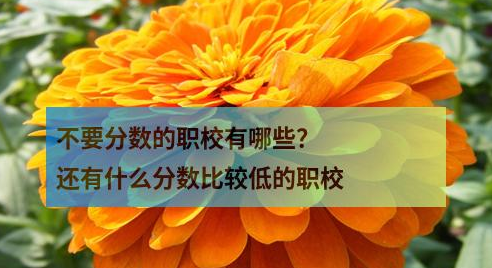 不要分数的职校有哪些？还有什么分数比较低的职校